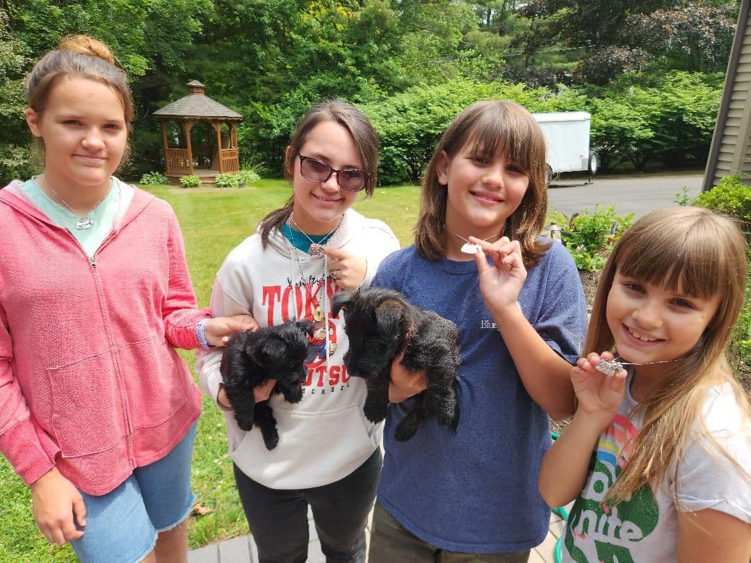 Scottish Terrier Puppies breeder image 5