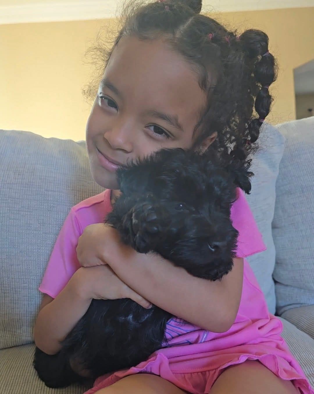 AKC Scottish Terrier Puppies β All Black π€ breeder image 1