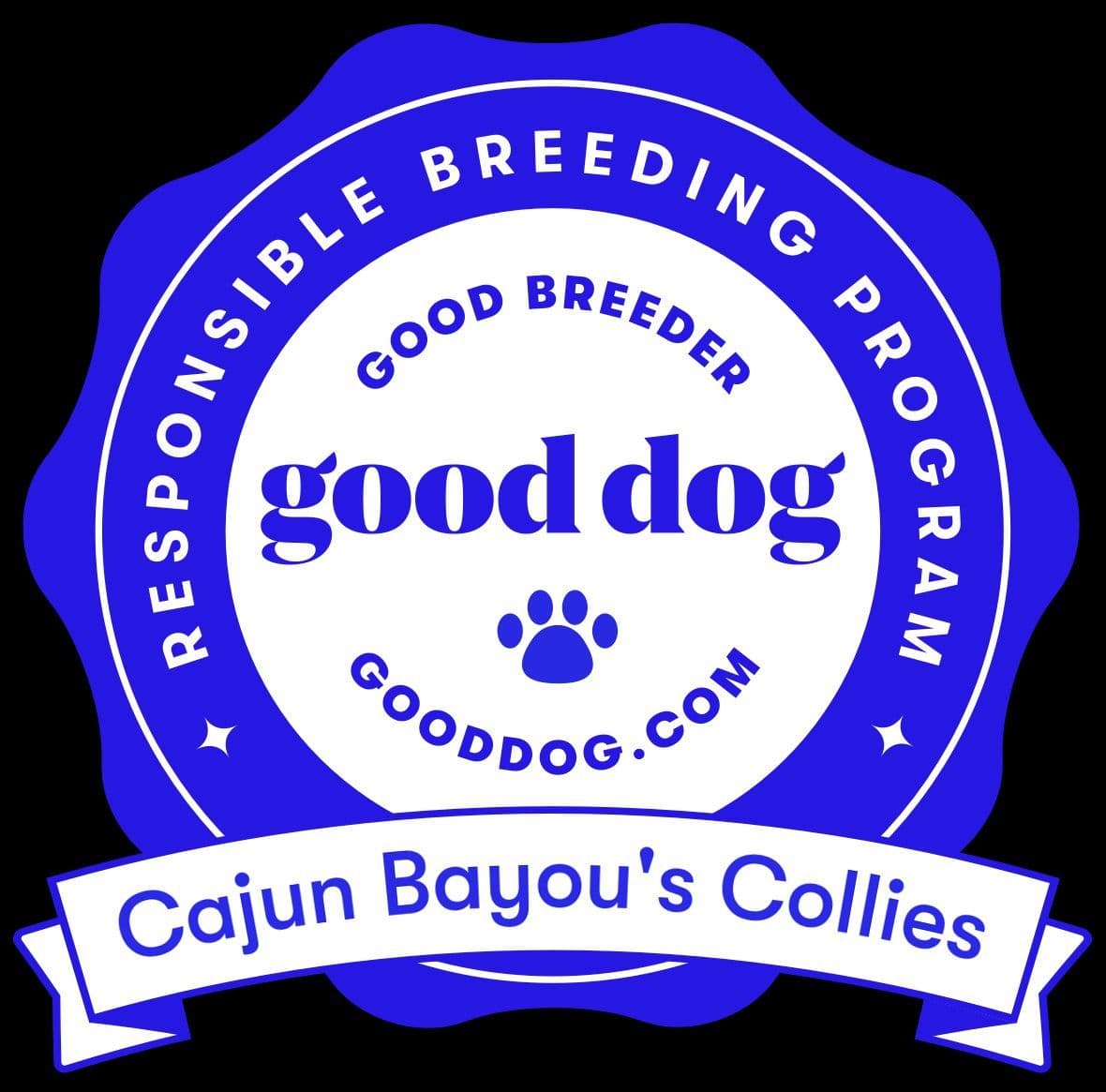 Collie Puppies breeder image 8