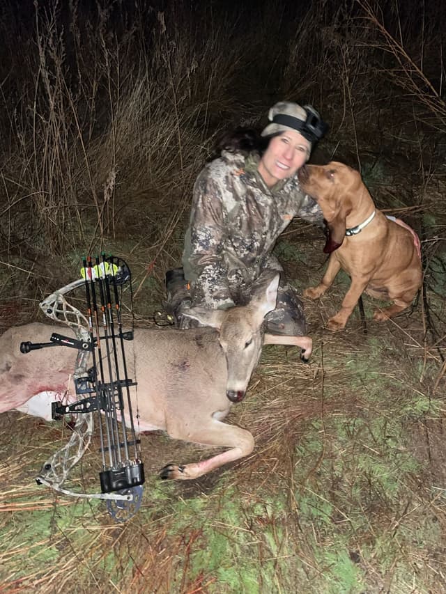 Bloodhound Pups with Proven Trailing, Tracking and Deer Recovery Line media 25