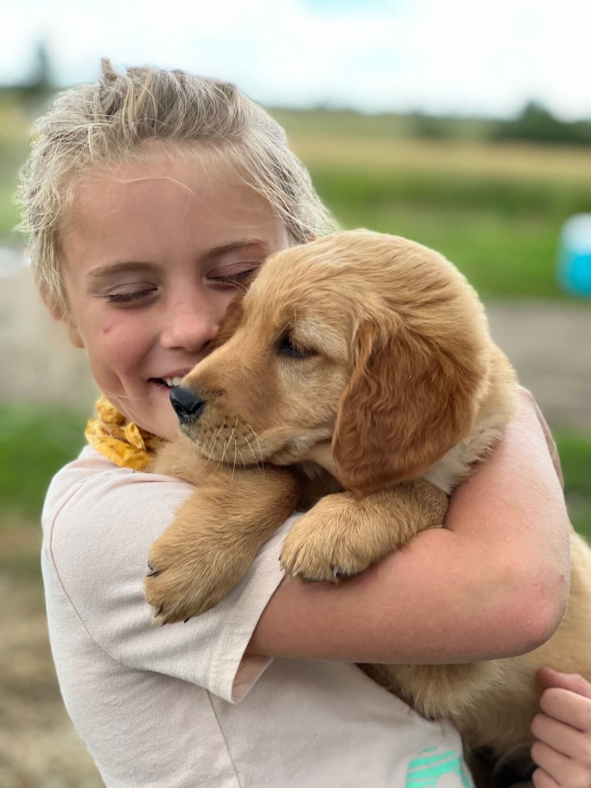 Pintail Pond Golden Retrievers breeder image 3