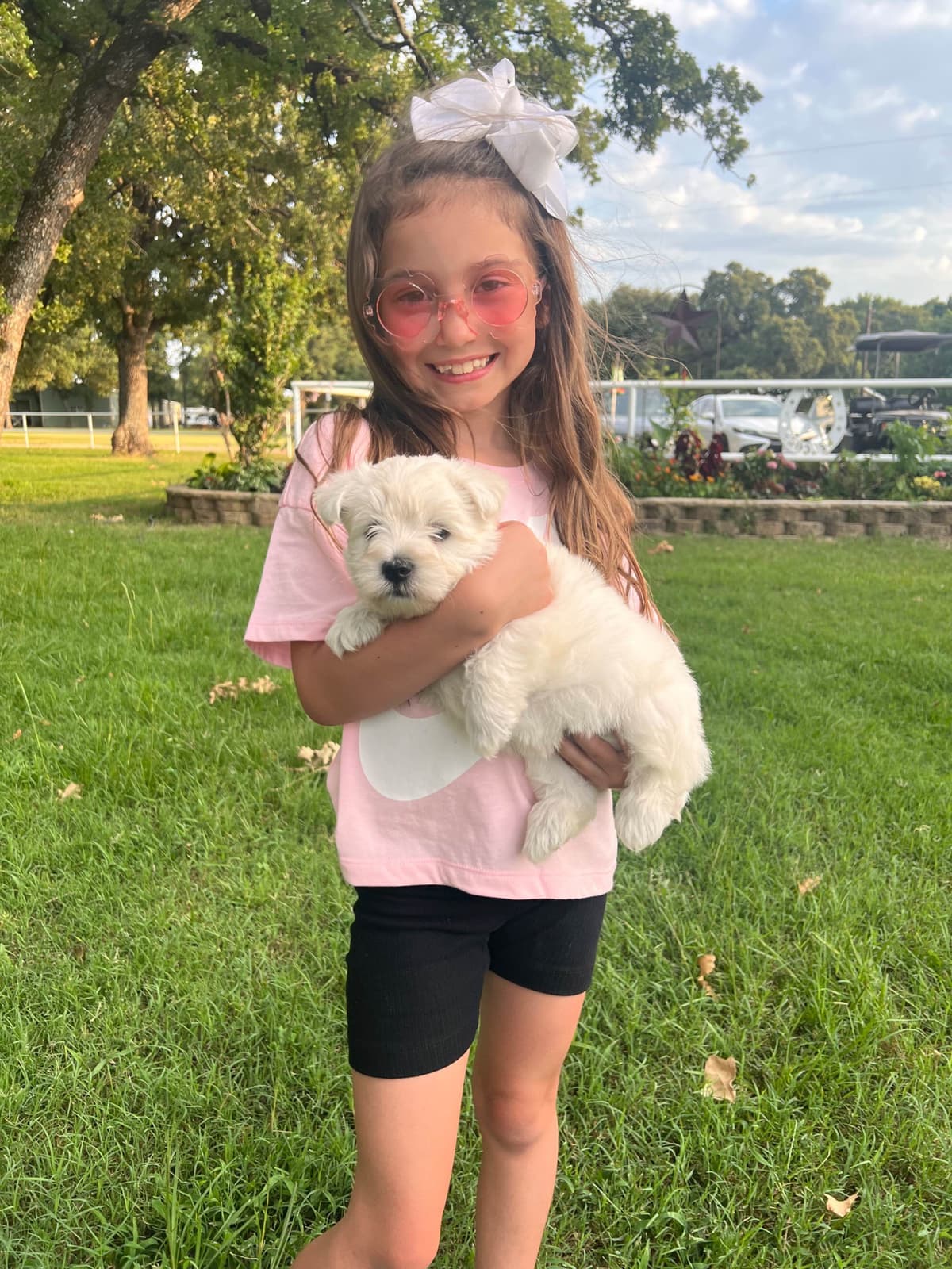 West Highland White Terrier Puppies breeder image 5