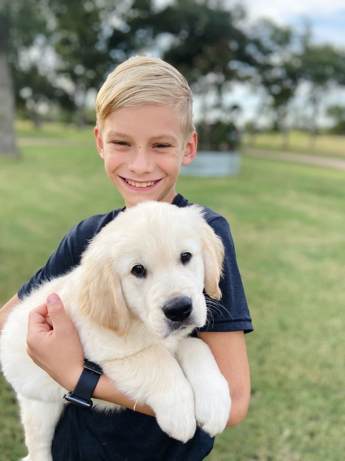 Golden Retriever Puppies breeder image 1