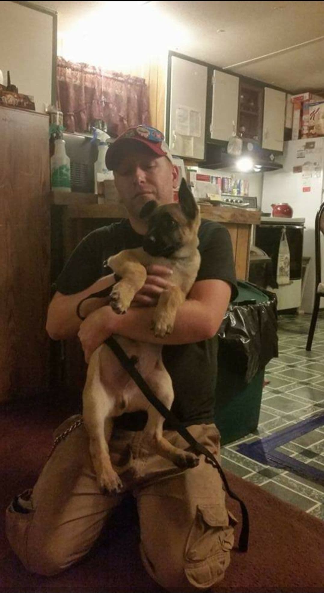 Belgian Malinois Puppies breeder image 5