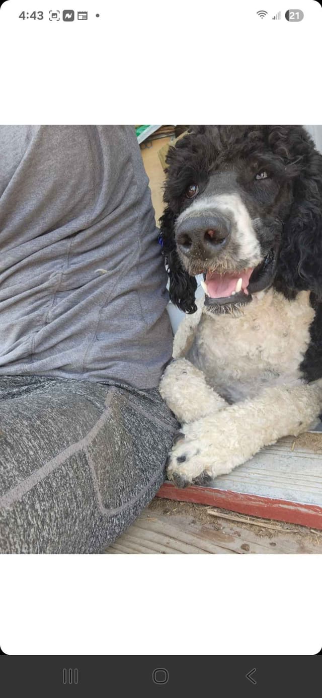 Price drop media 5