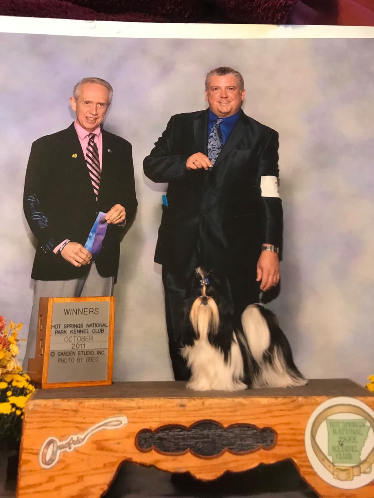 Ch sired fawn male breeder image 4