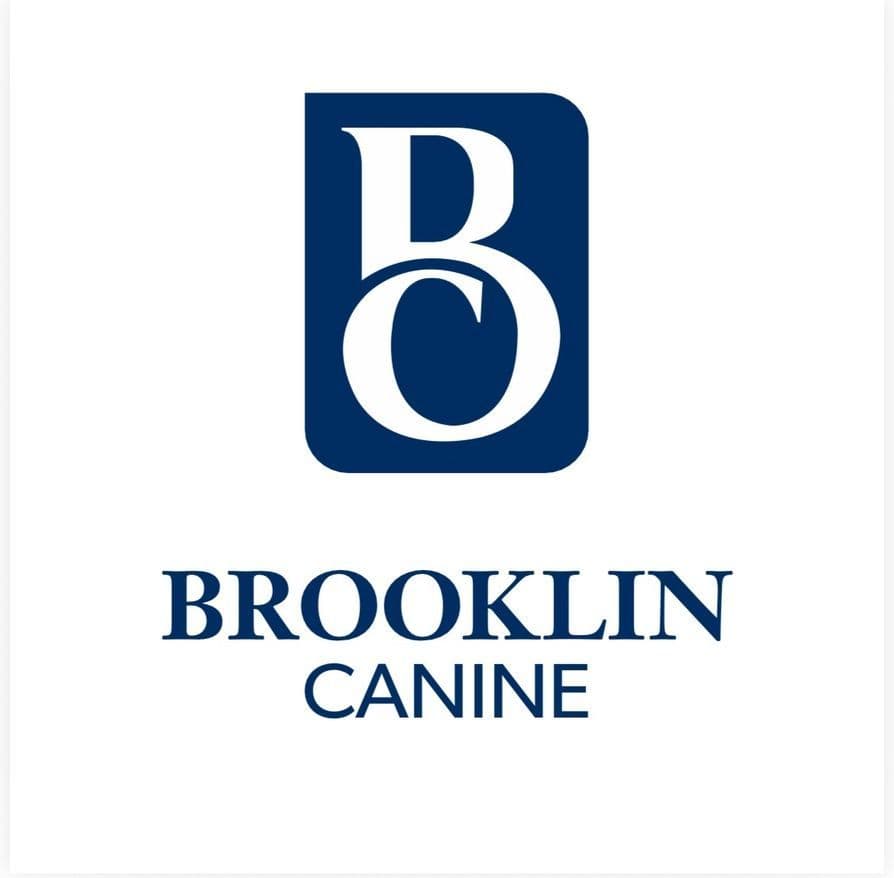 Stunning Light Golden Puppies breeder image 9