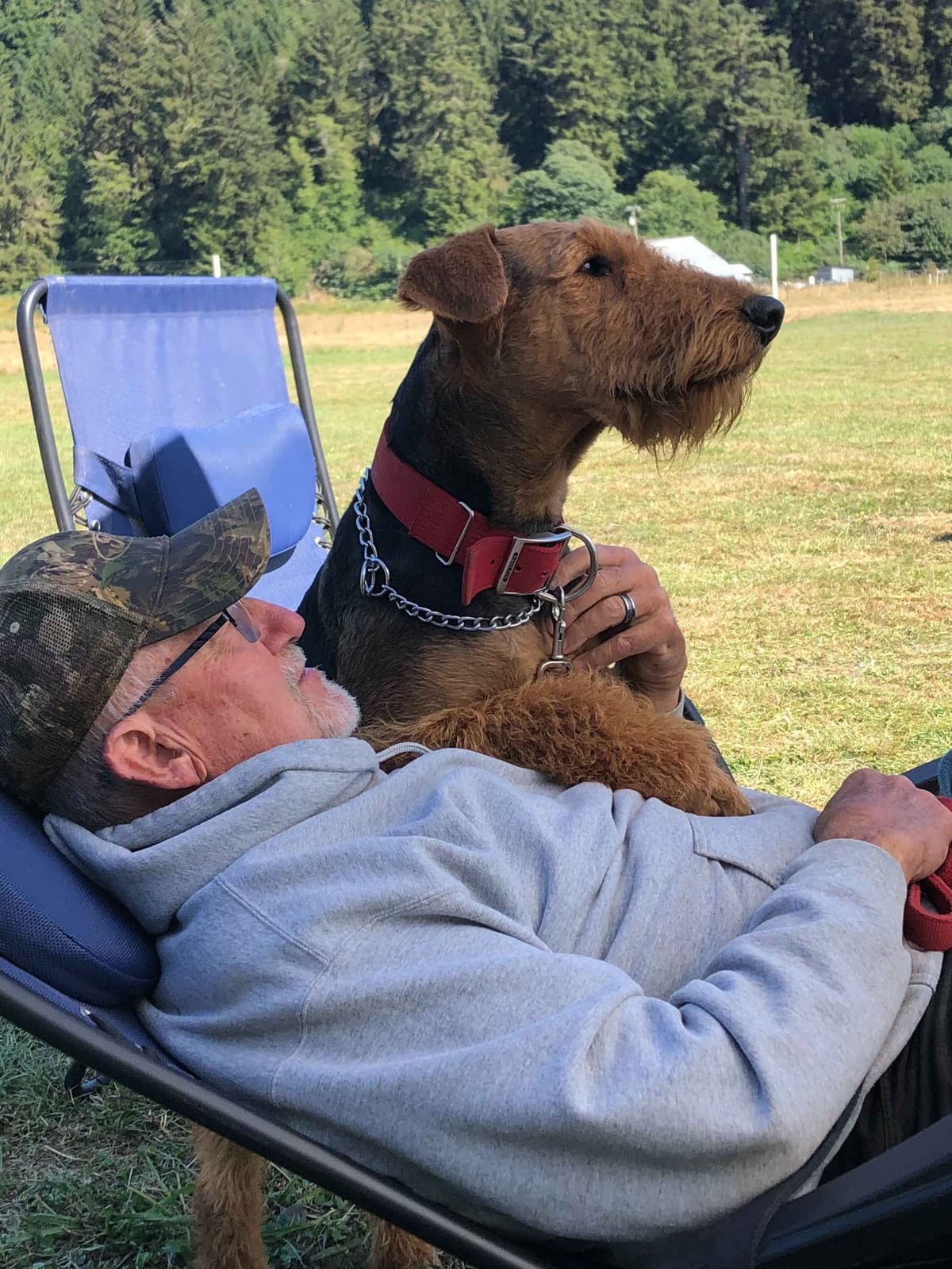 Airedale Terrier Puppies breeder image 6