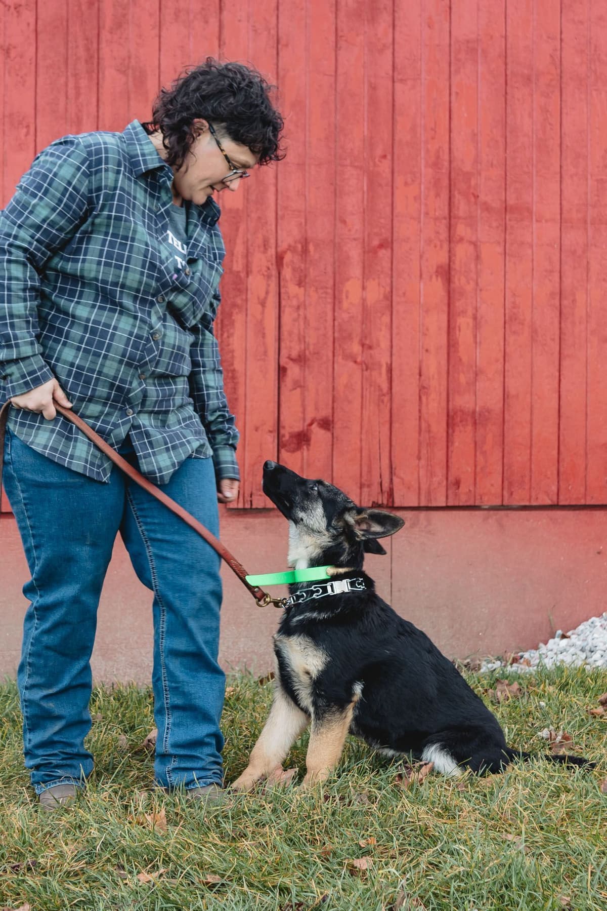 JAG German Shepherds Solid Black Male, Black/Tan Female breeder image 3