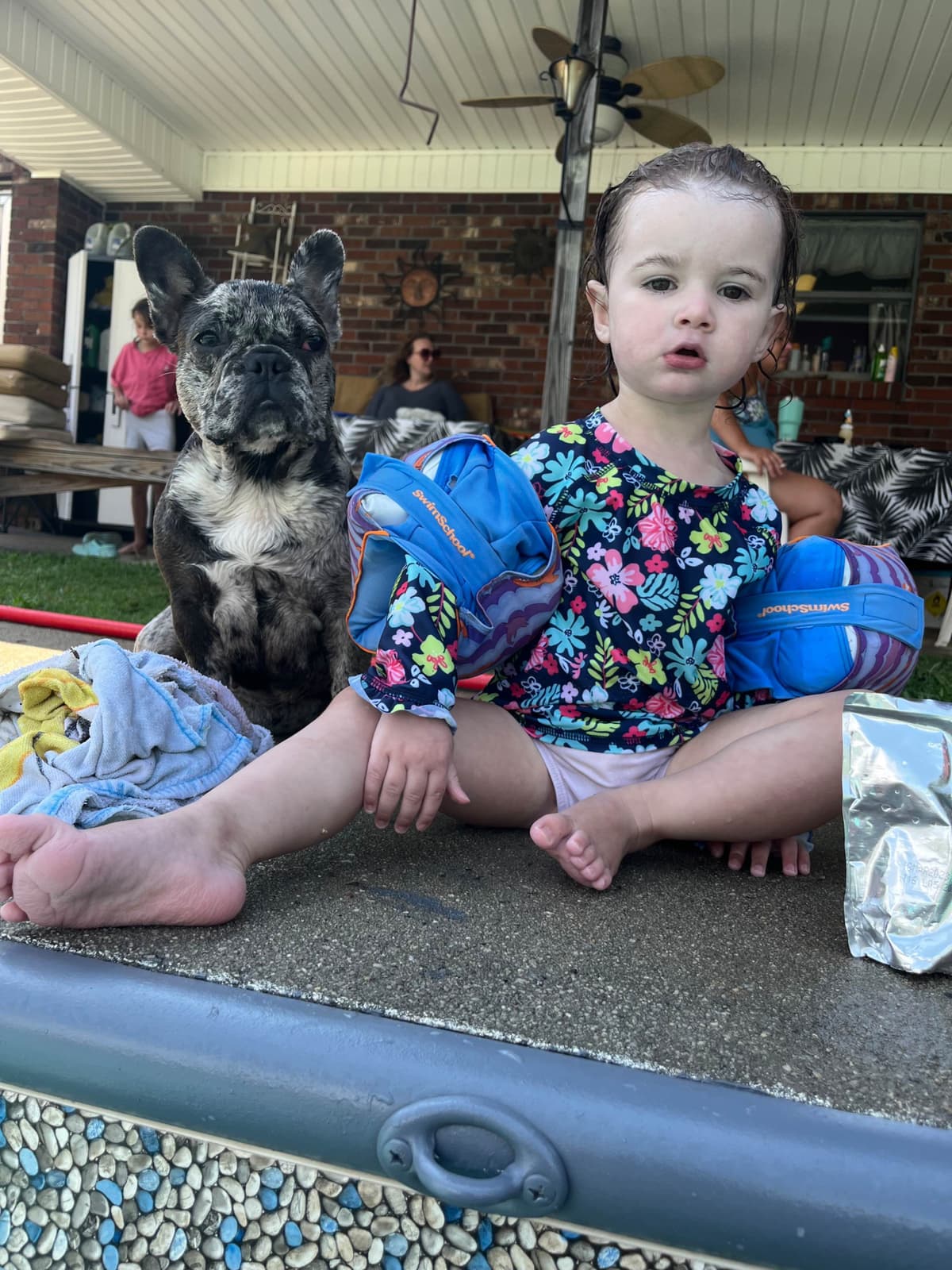 AKC ch. bloodline French Bulldog Puppies breeder image 3