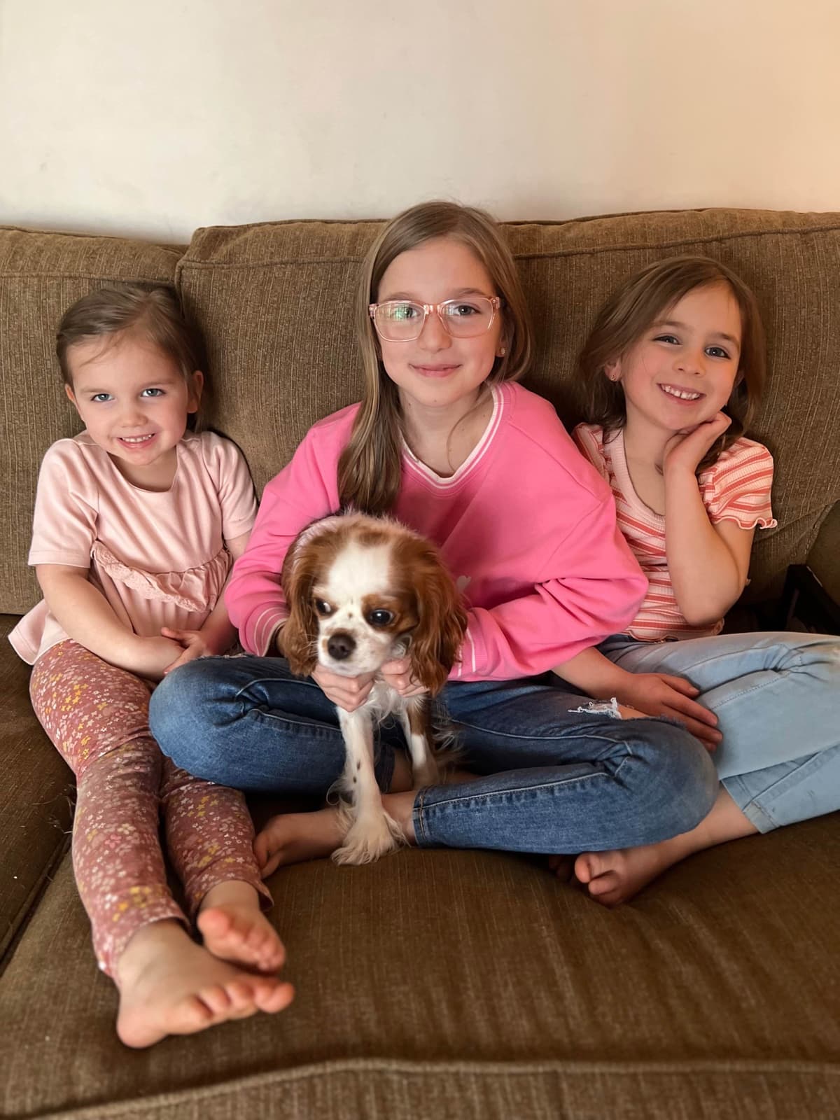 Cavalier King Charles Spaniel Puppies breeder image 1