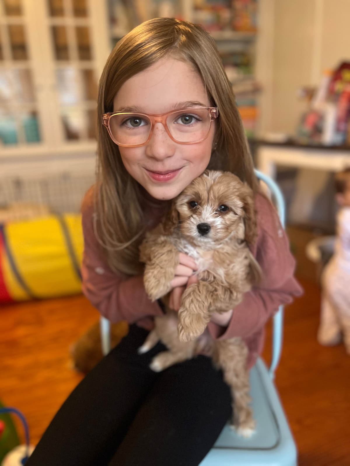 Cavalier King Charles Spaniel Puppies breeder image 6