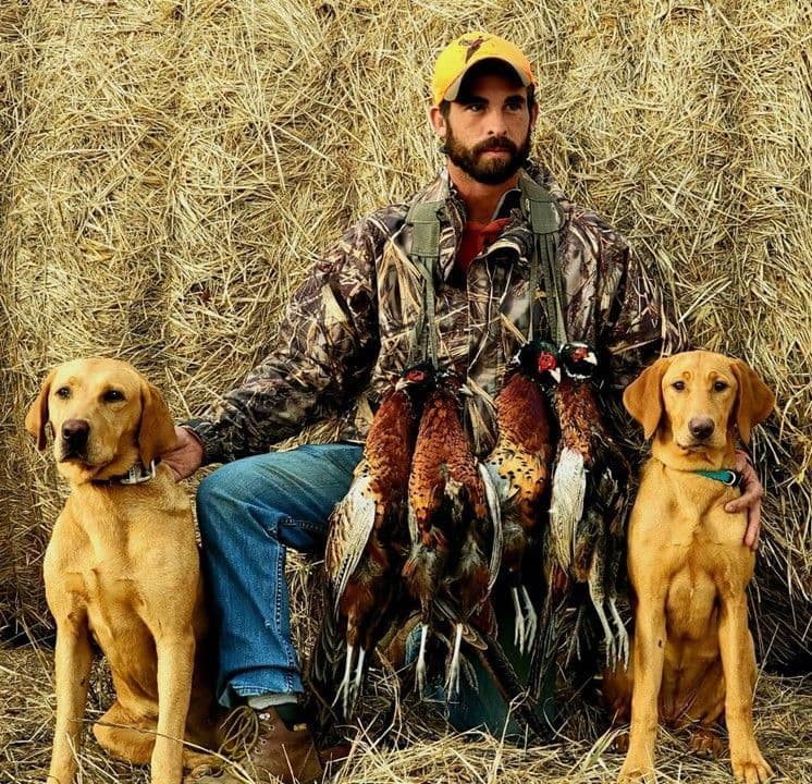 Labrador Retriever Puppies breeder image 6