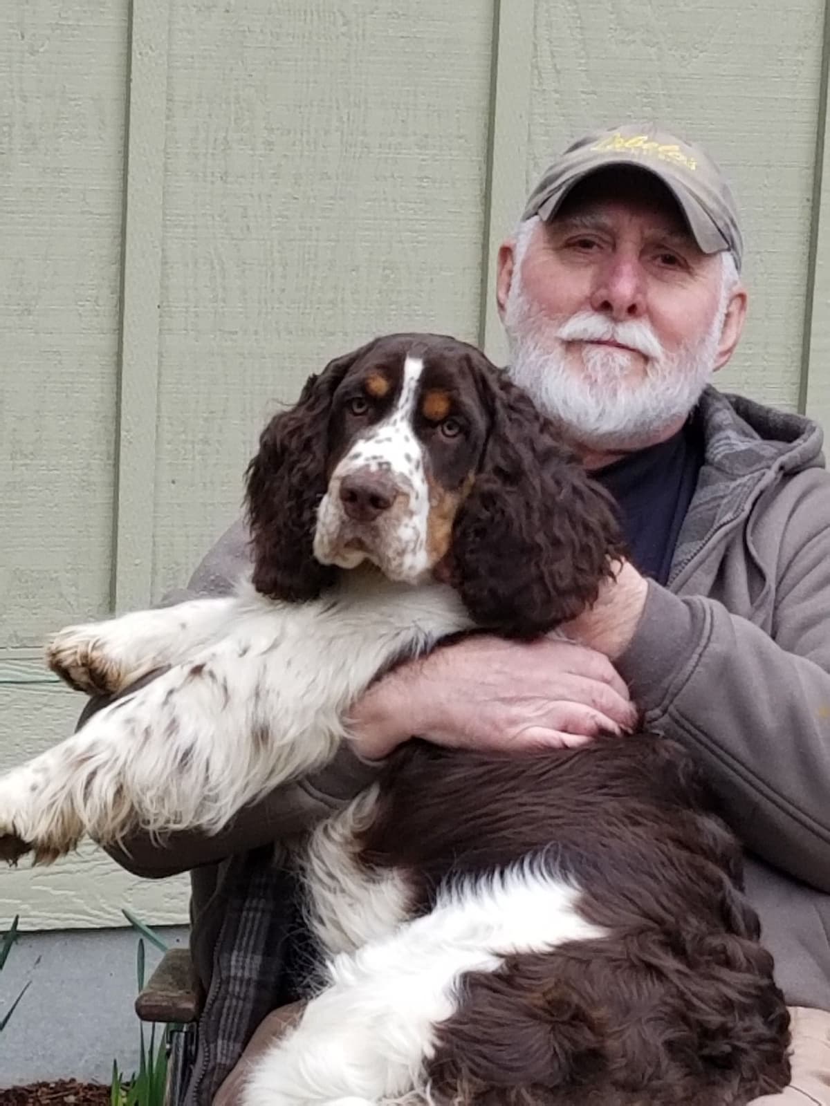 English Springer Spaniel Puppies breeder image 7