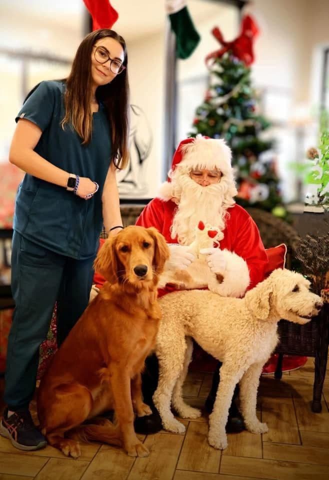 Golden Retriever Puppies breeder image 4