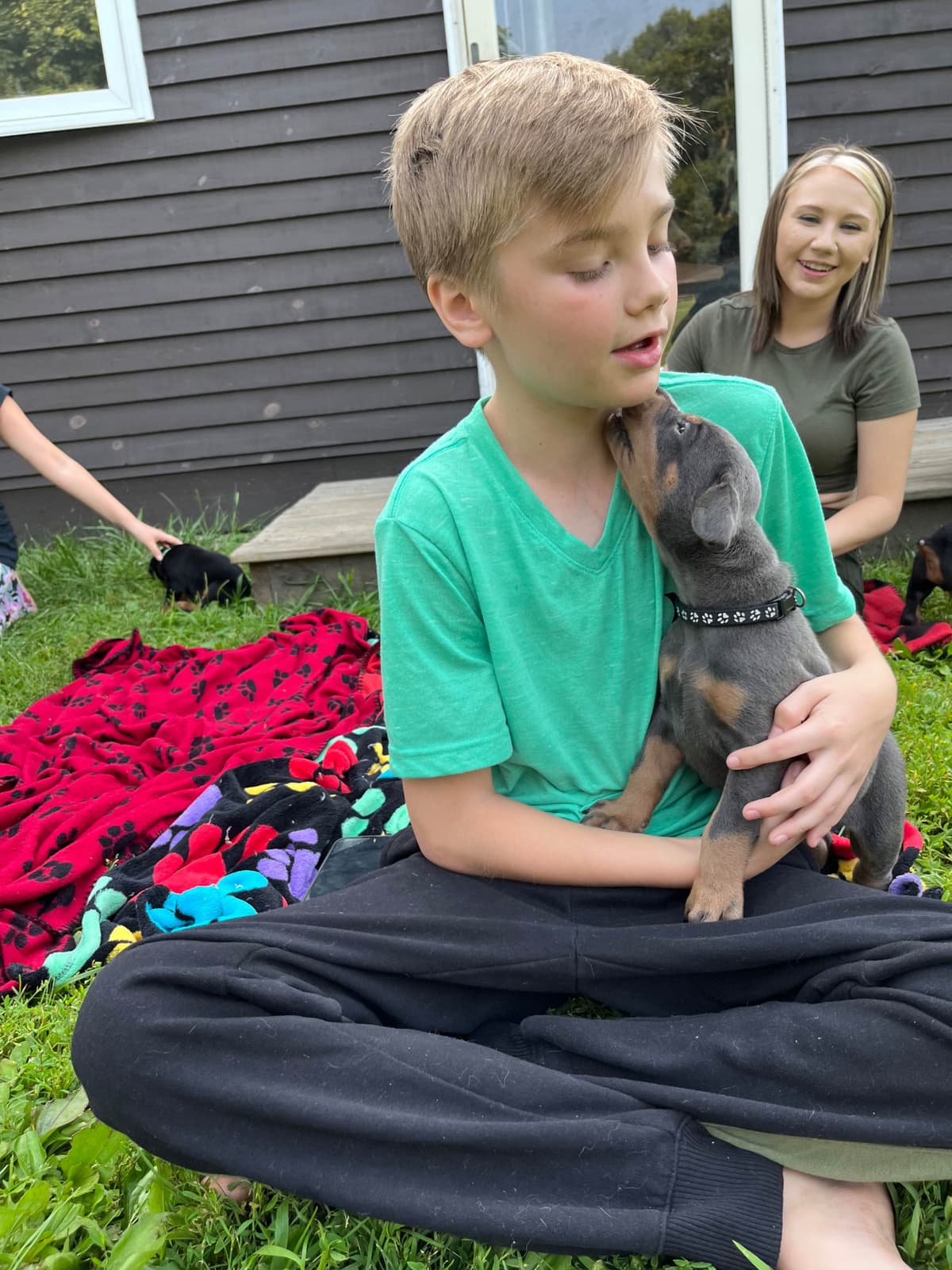 Doberman Pinscher Puppies breeder image 4