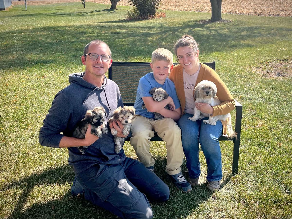 Havanese Puppies breeder image 1