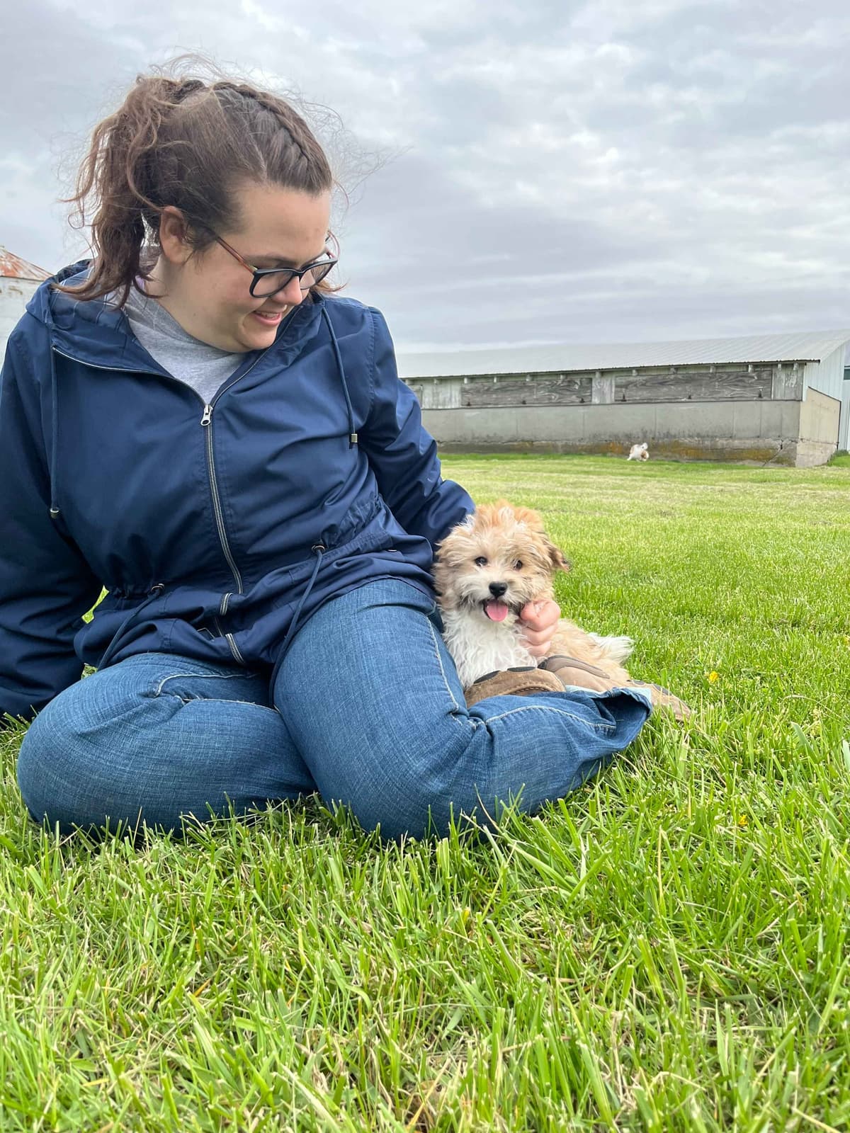 Havanese Puppies breeder image 8