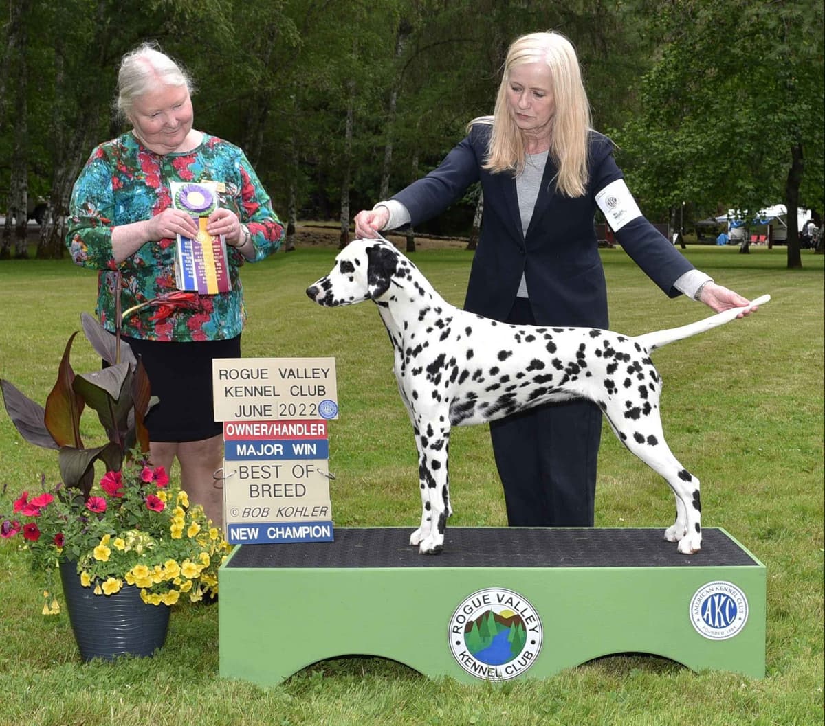 Dalmatian Puppies breeder image 1