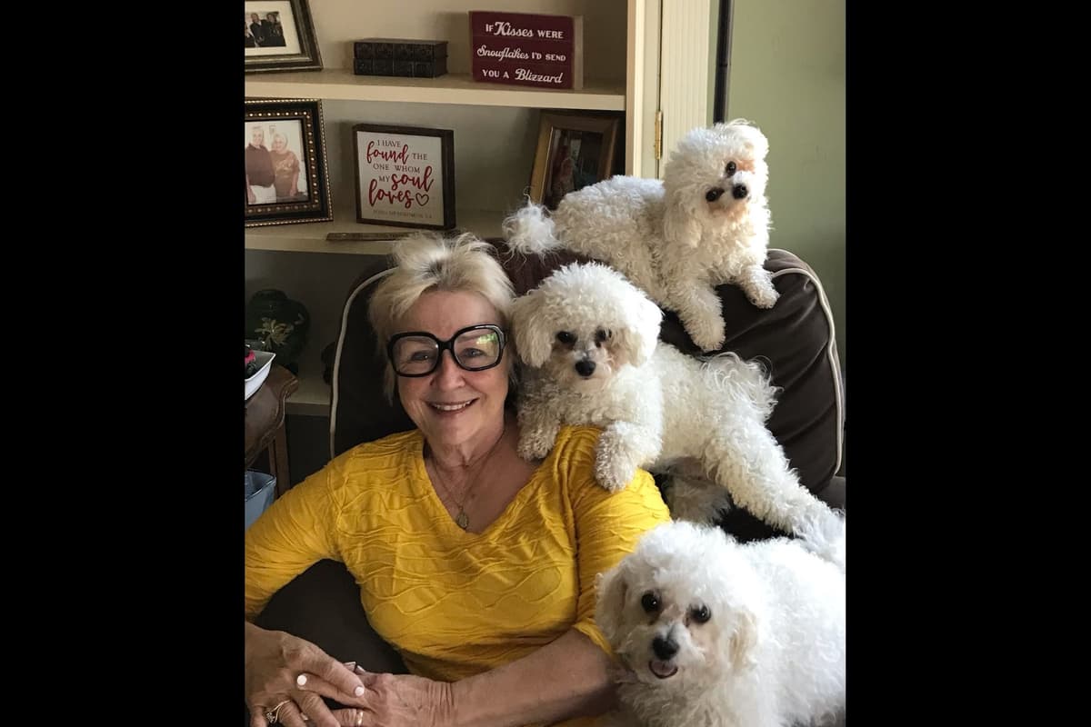 MEMORIAL DAY AND JULY 4 CELEBRATION  SPECIAL Bichon Frise Puppies breeder image 3