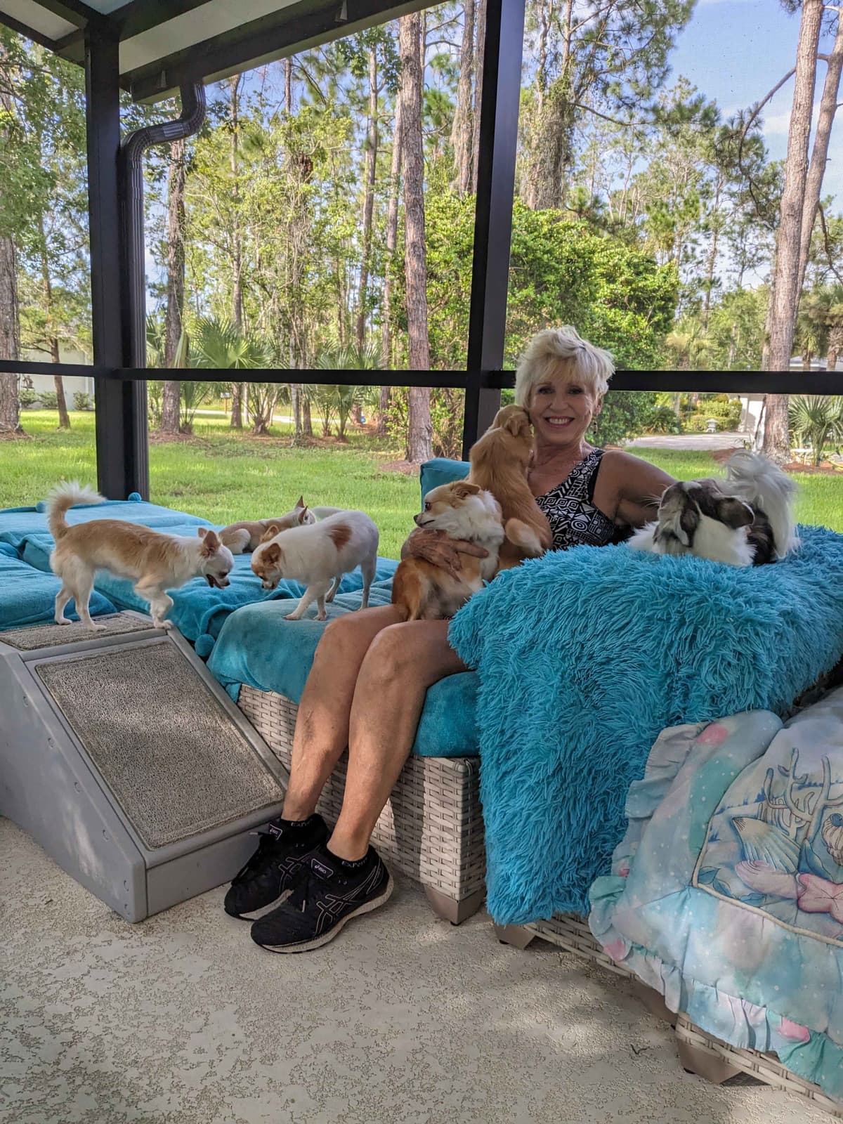 Chihuahua Puppies breeder image 26