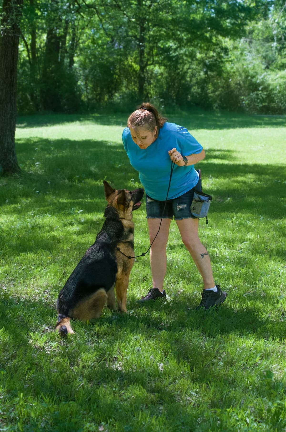 German Shepherd Dog Puppies Willow X Atticus breeder image 5