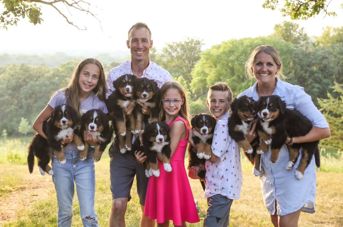 Bernese Mountain Dog Puppies breeder image 1
