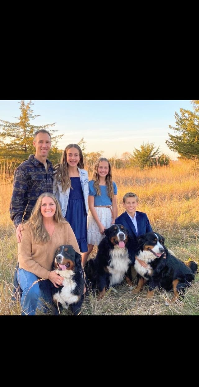 Bernese Mountain Dog Puppies media 3