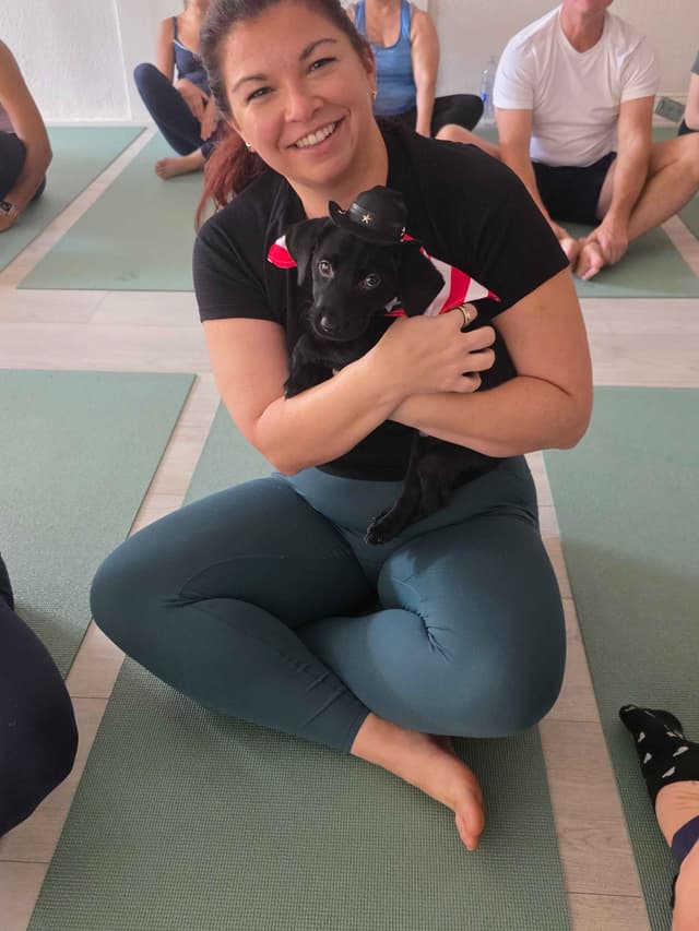 $500 Champion Labrador Retriever Puppies media 2