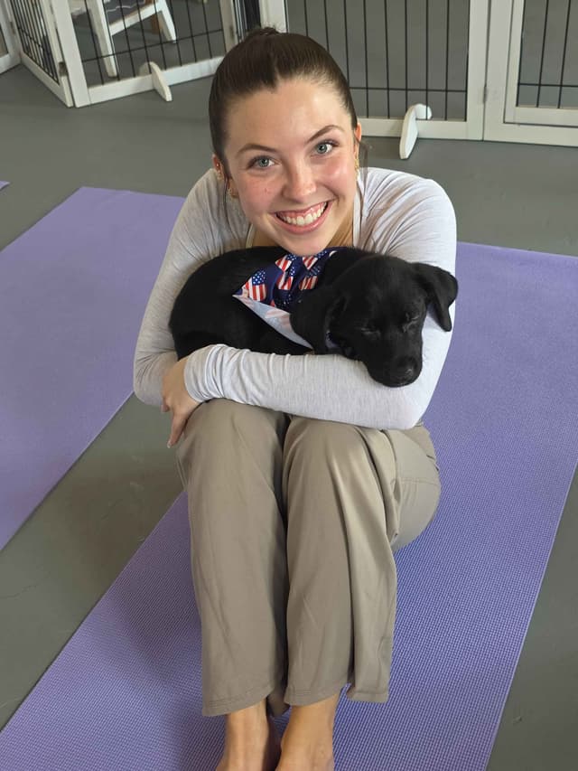 $500 Champion Labrador Retriever Puppies media 7