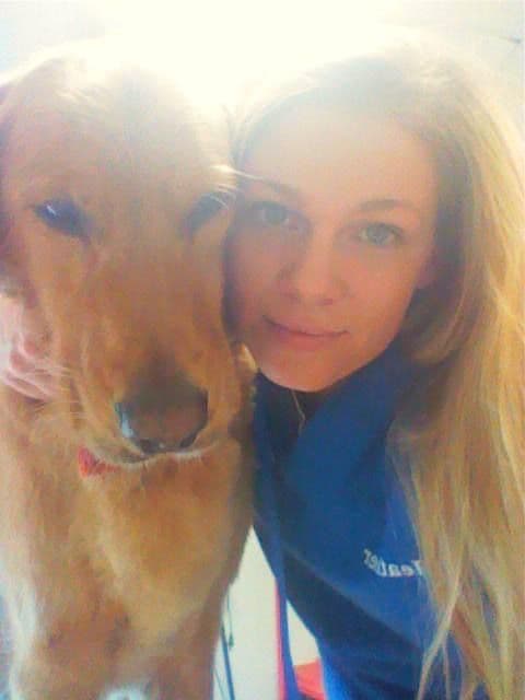 AKC Golden Retriever Puppies – Family Raised, Socialized & Ready Now breeder image 4
