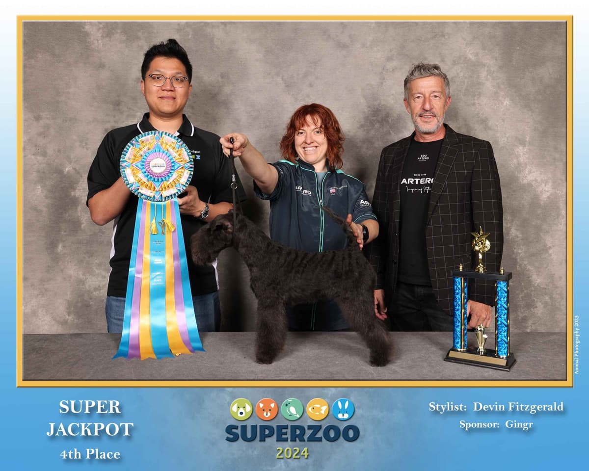 Lakeland Terrier Puppies breeder image 3