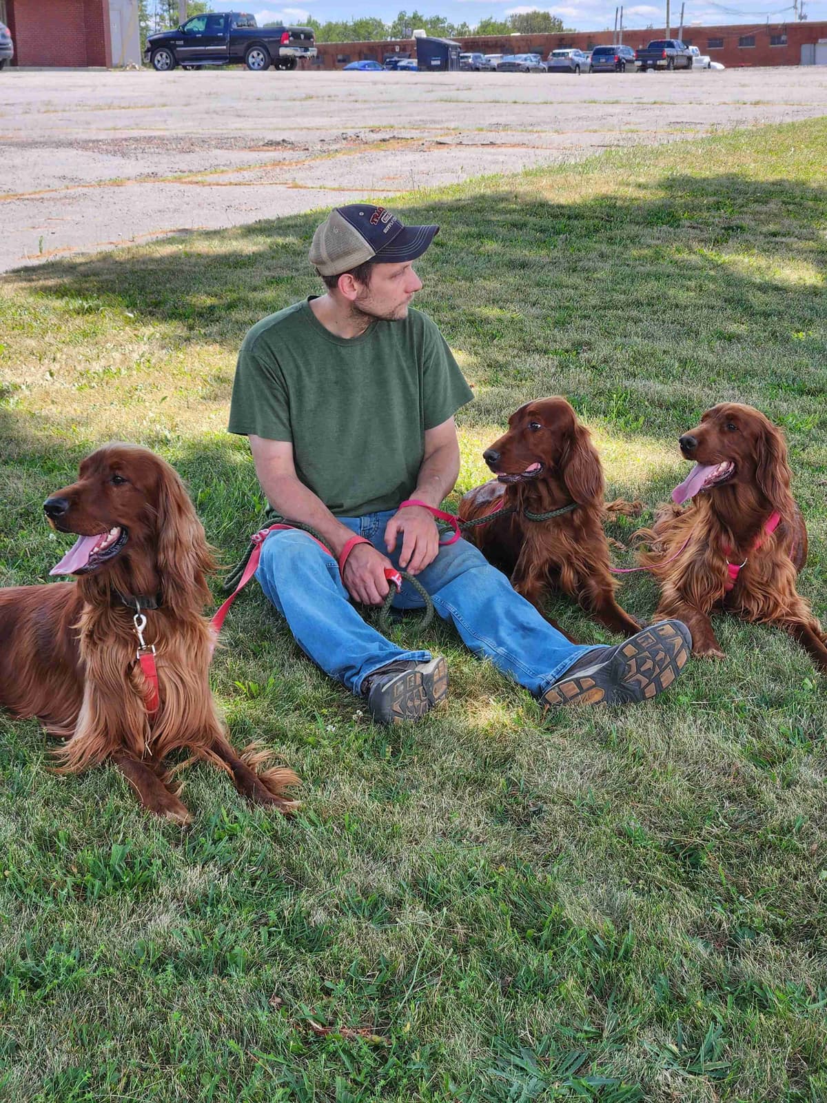 Labrador Retriever Puppies breeder image 9