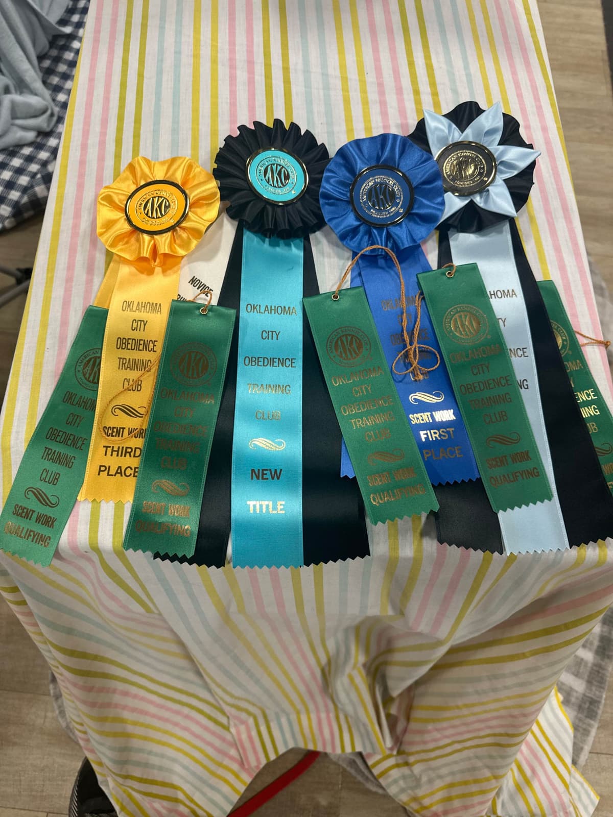 Doberman Pinscher Puppies breeder image 13