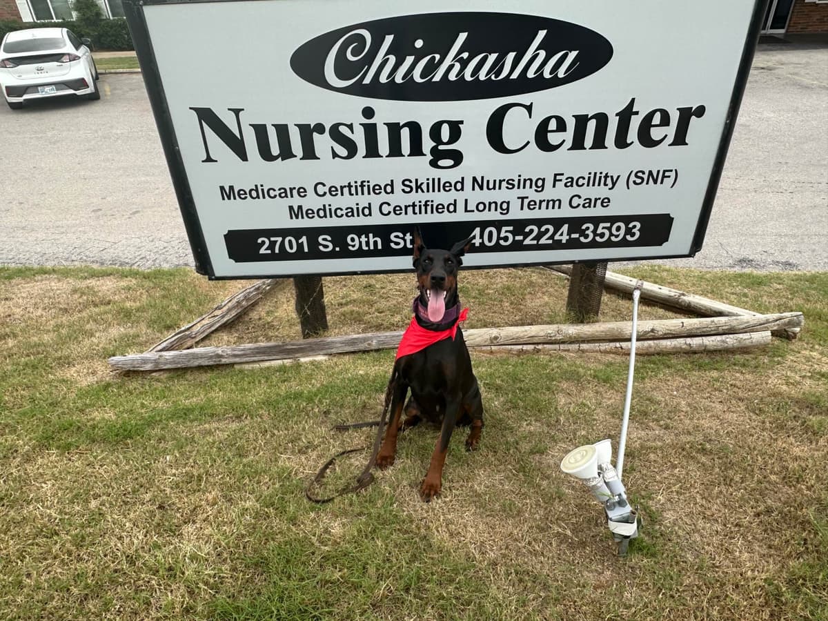Doberman Pinscher Puppies breeder image 1