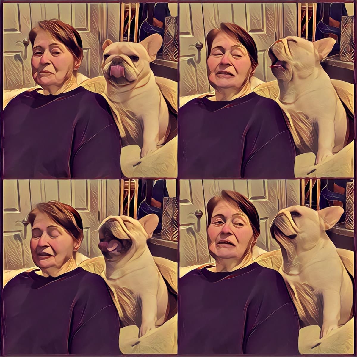 French Bulldog Puppies breeder image 4