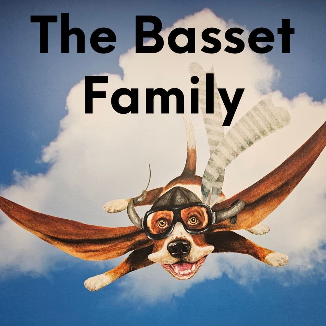Basset Hound Puppies breeder image 1