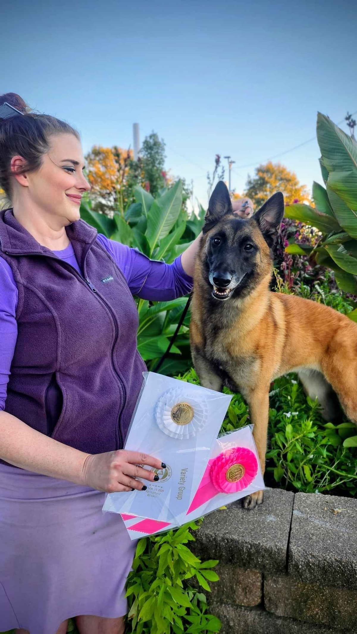 Belgian Malinois Puppies breeder image 2