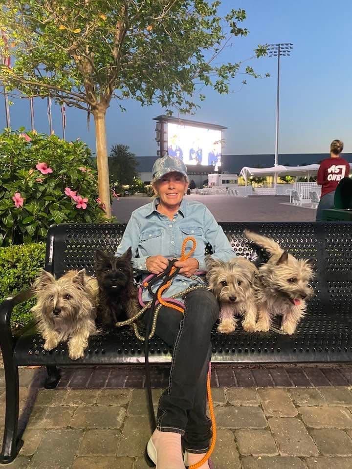 Cairn Terrier Puppies - Toto’s Two! breeder image 3