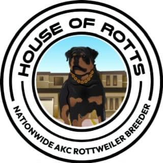 Rottweiler Puppies breeder image 5