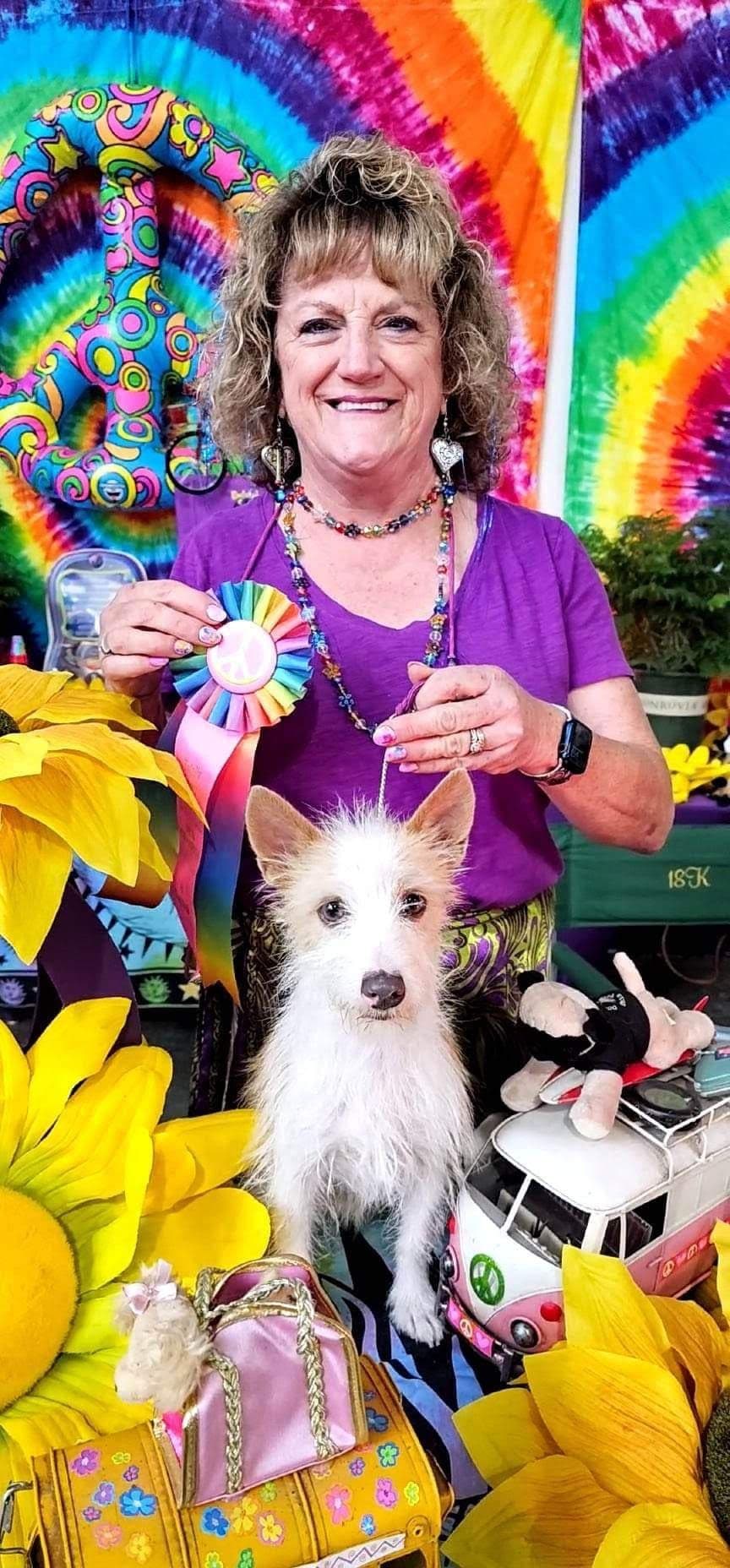 Portuguese Podengo Pequeno Puppies breeder image 14