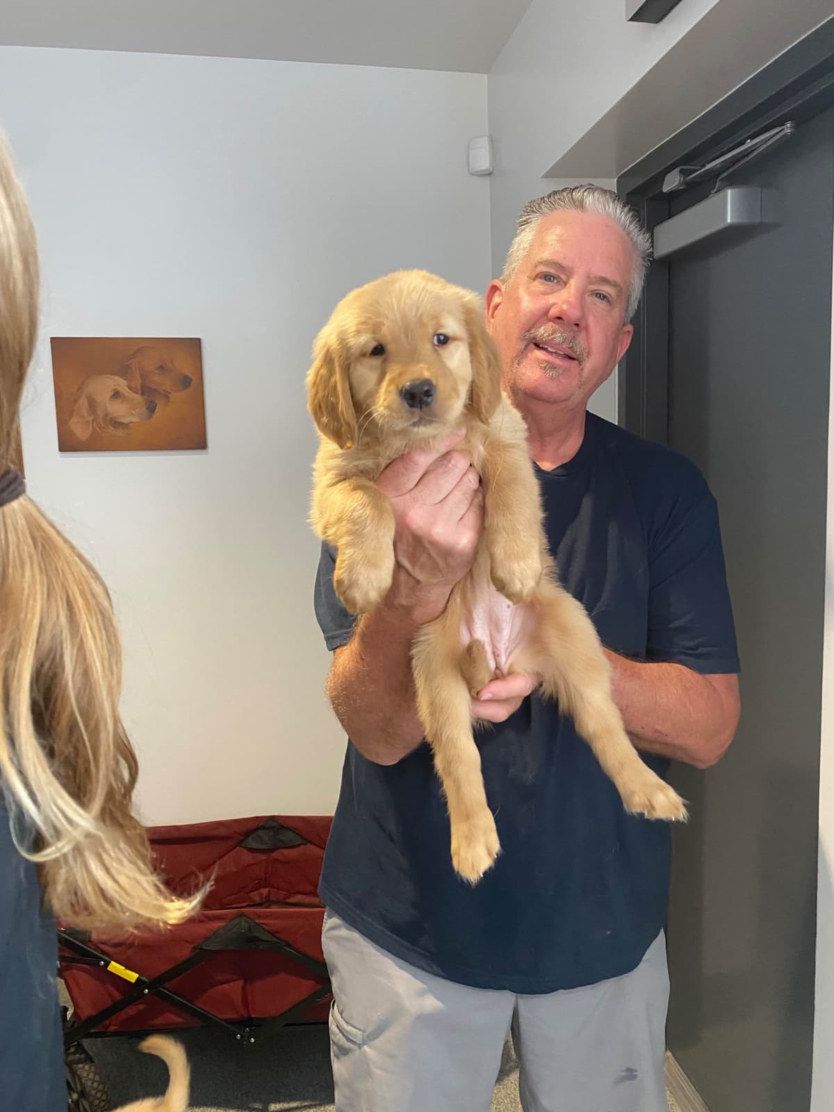 Golden Retriever Puppies breeder image 17