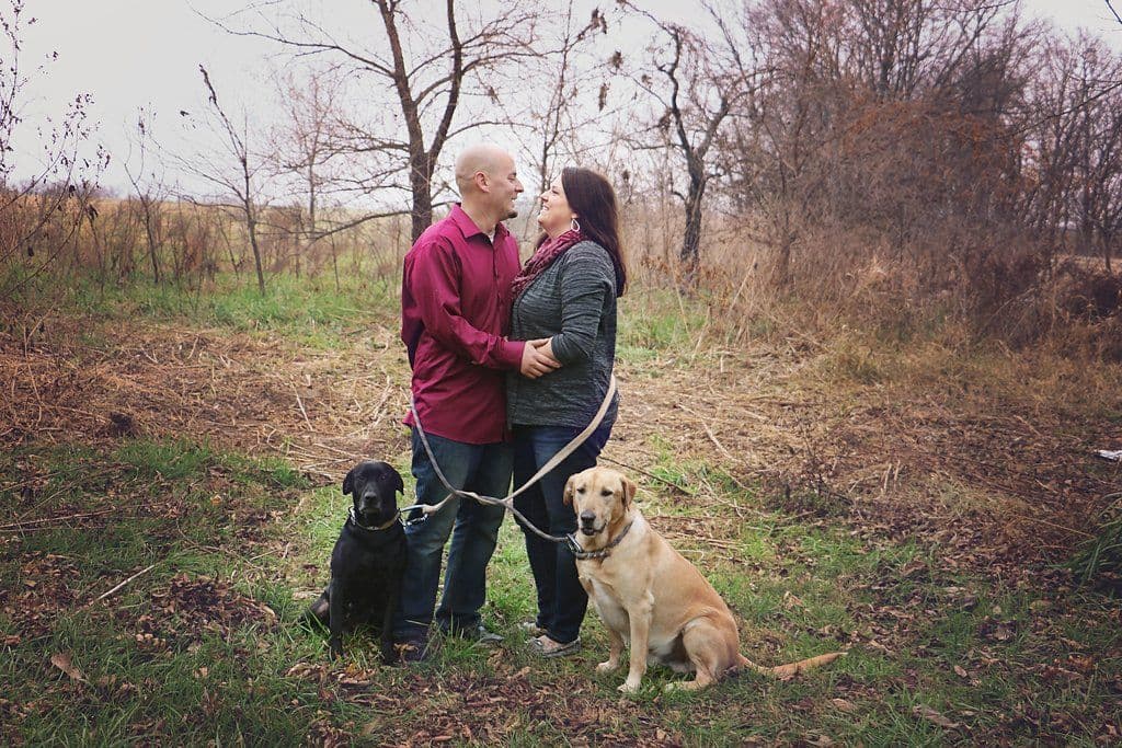 Dark Yellow/Fox Red Labrador Retriever Puppies breeder image 3