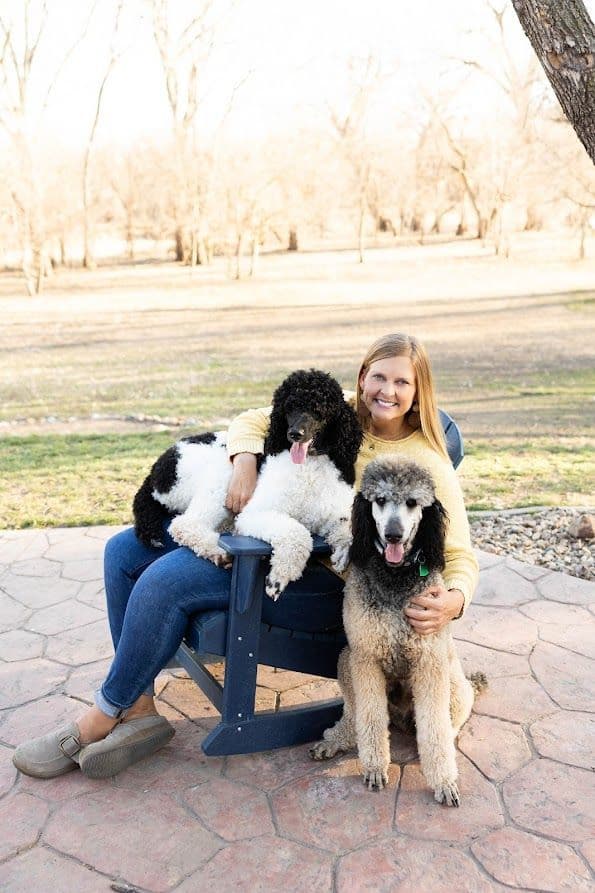 Parti Poodle Puppies breeder image 2