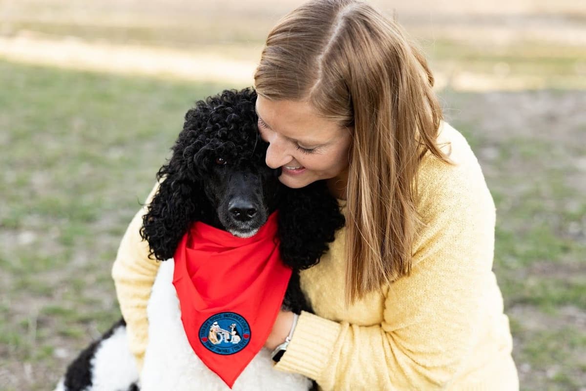 Parti Poodle Puppies breeder image 5