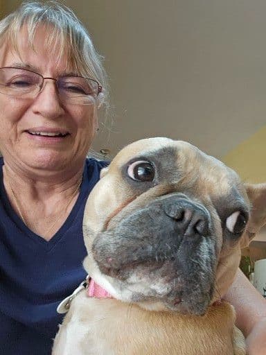 French Bulldog Puppies breeder image 3
