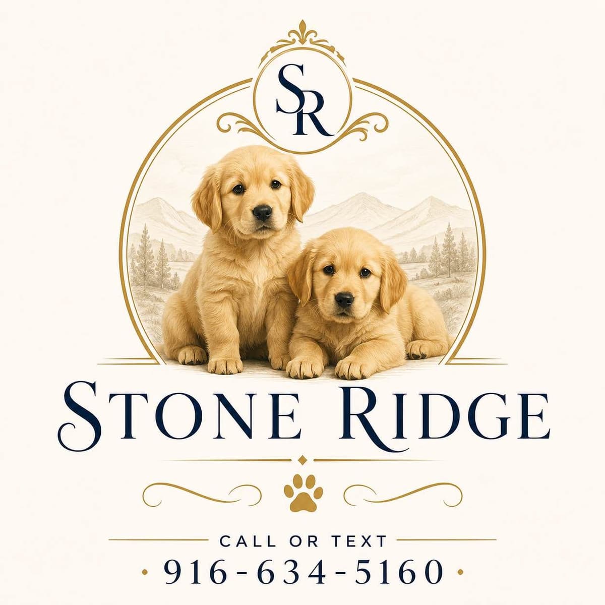 AKC Golden Retriever Puppies $1000 breeder image 1