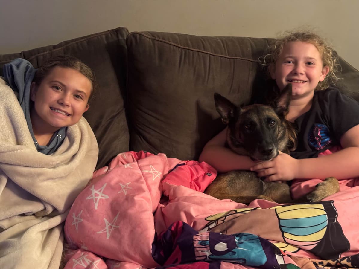 Belgian Malinois Puppies breeder image 21