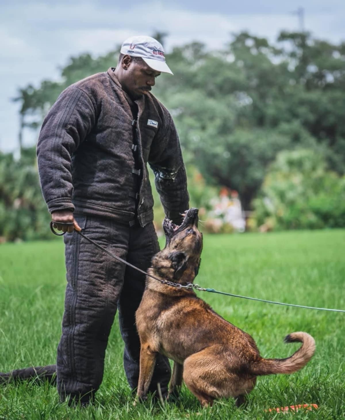 Belgian Malinois Puppies breeder image 22