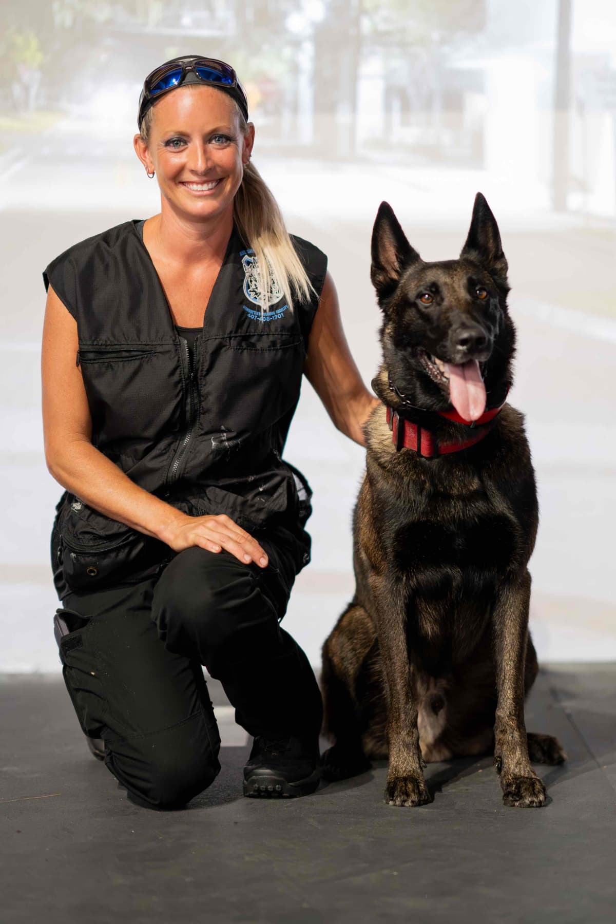 Belgian Malinois Puppies breeder image 23